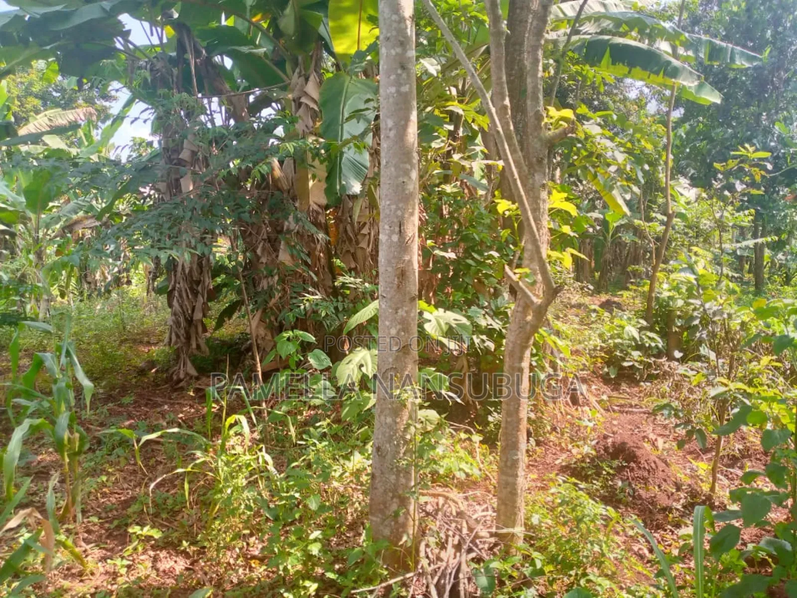 Land At Kyabilwa 0.11 Acres