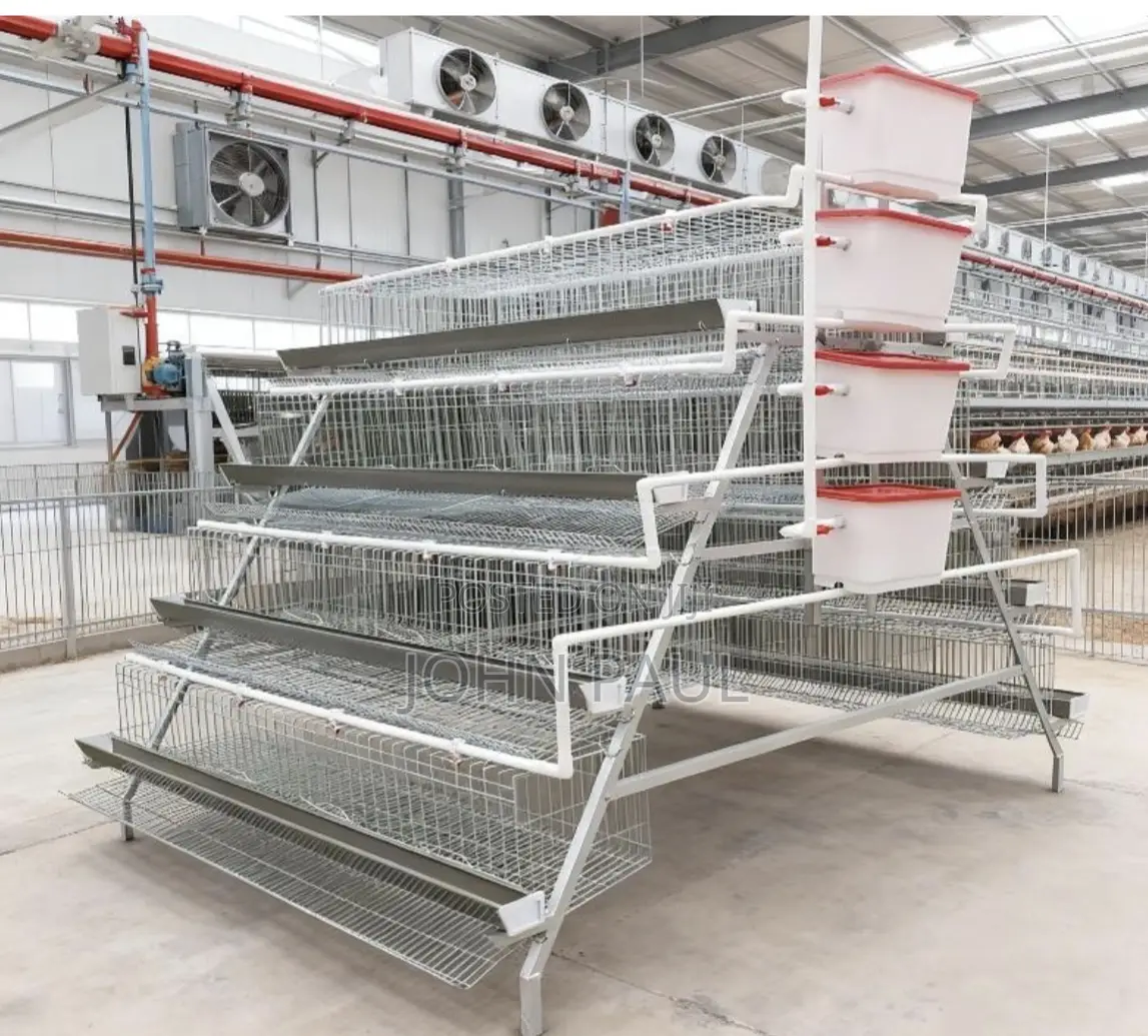 160 Birds Battery Cage