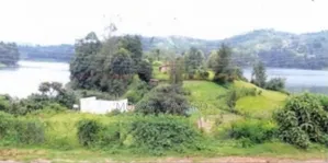 Land Selling at Lake Bunyonyi