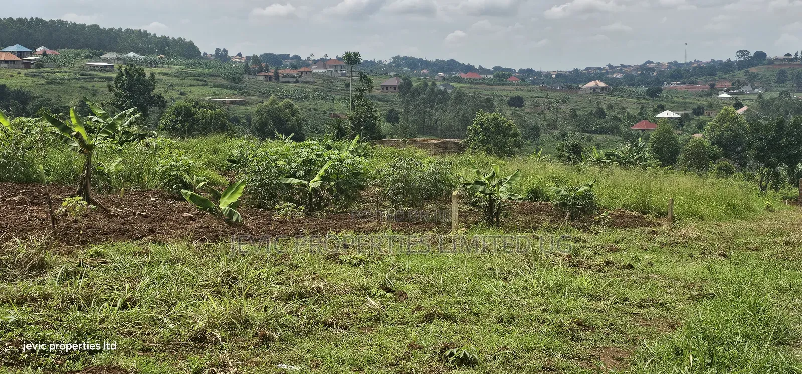 Plot Fo Sale at Wakiso Nkowe -Mubango 13 Miles From Kampala