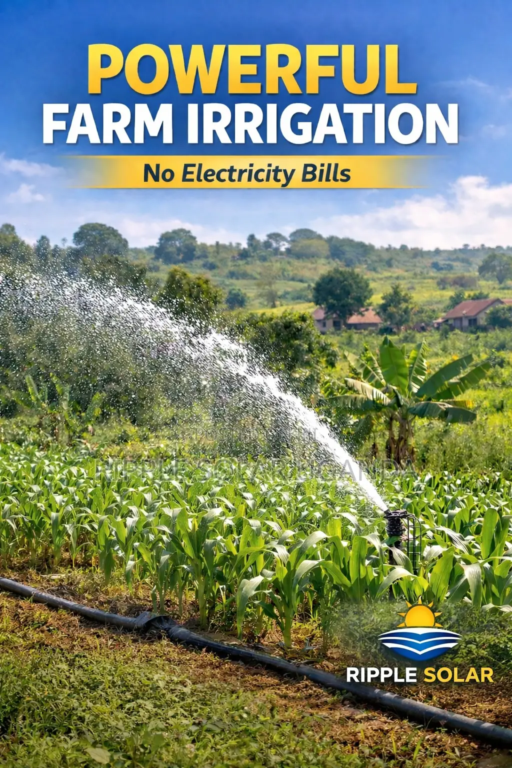1.5kw Solar Borehole Pump 192v High Pressure Deep Well Irrigation