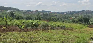 Plot on Quick Sale at Wakiso Near Town