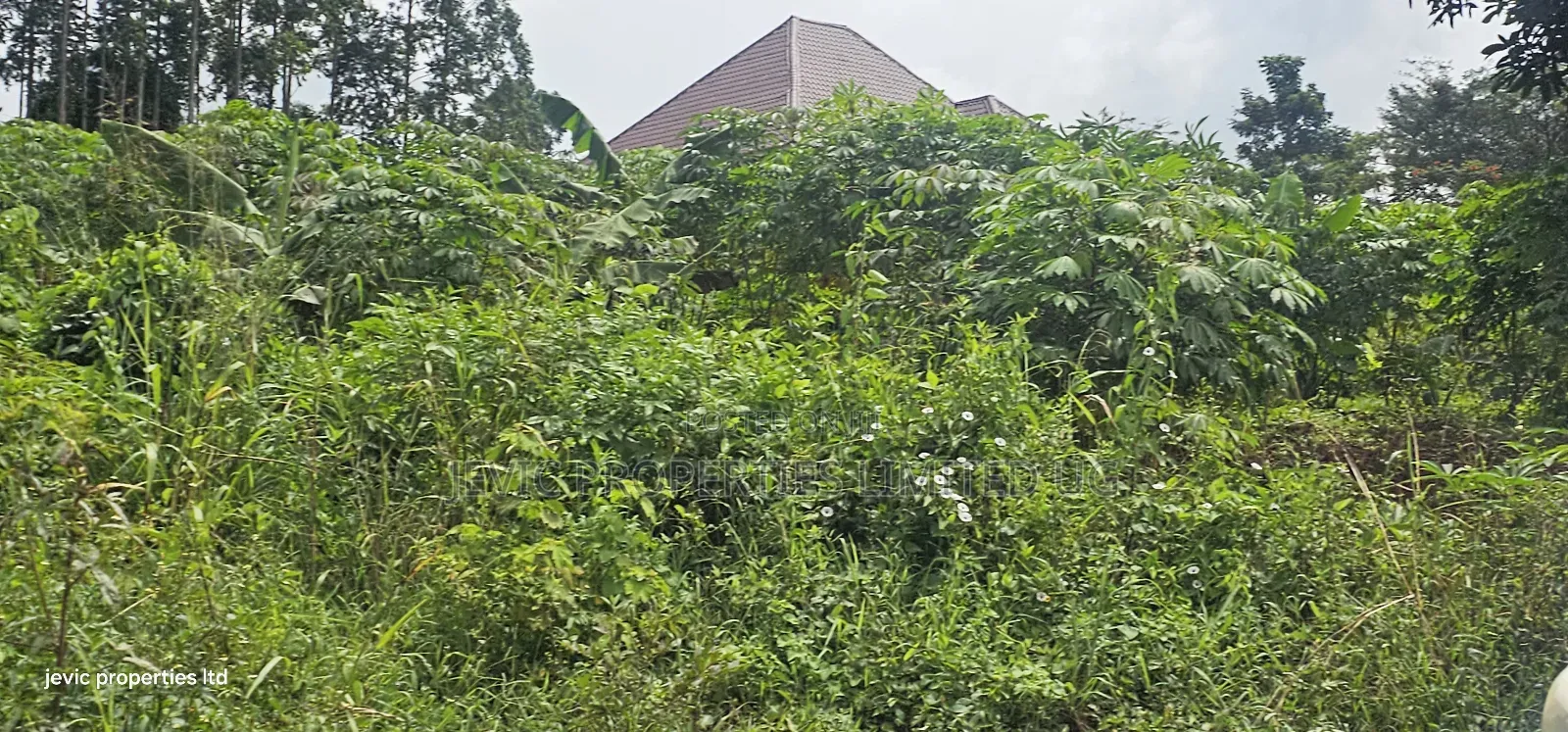 Plot on Quick Sale at Wakiso Near Town
