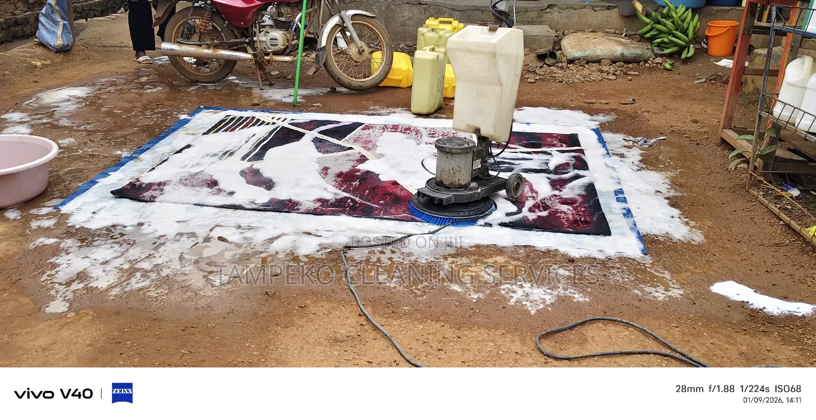 Carpet Cleaning