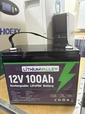 Lithium Valley 100ah Deep Cycle Solar Battery