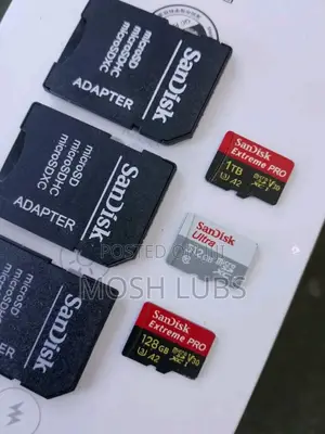 1tb Sandisk Memory Card For. Camera