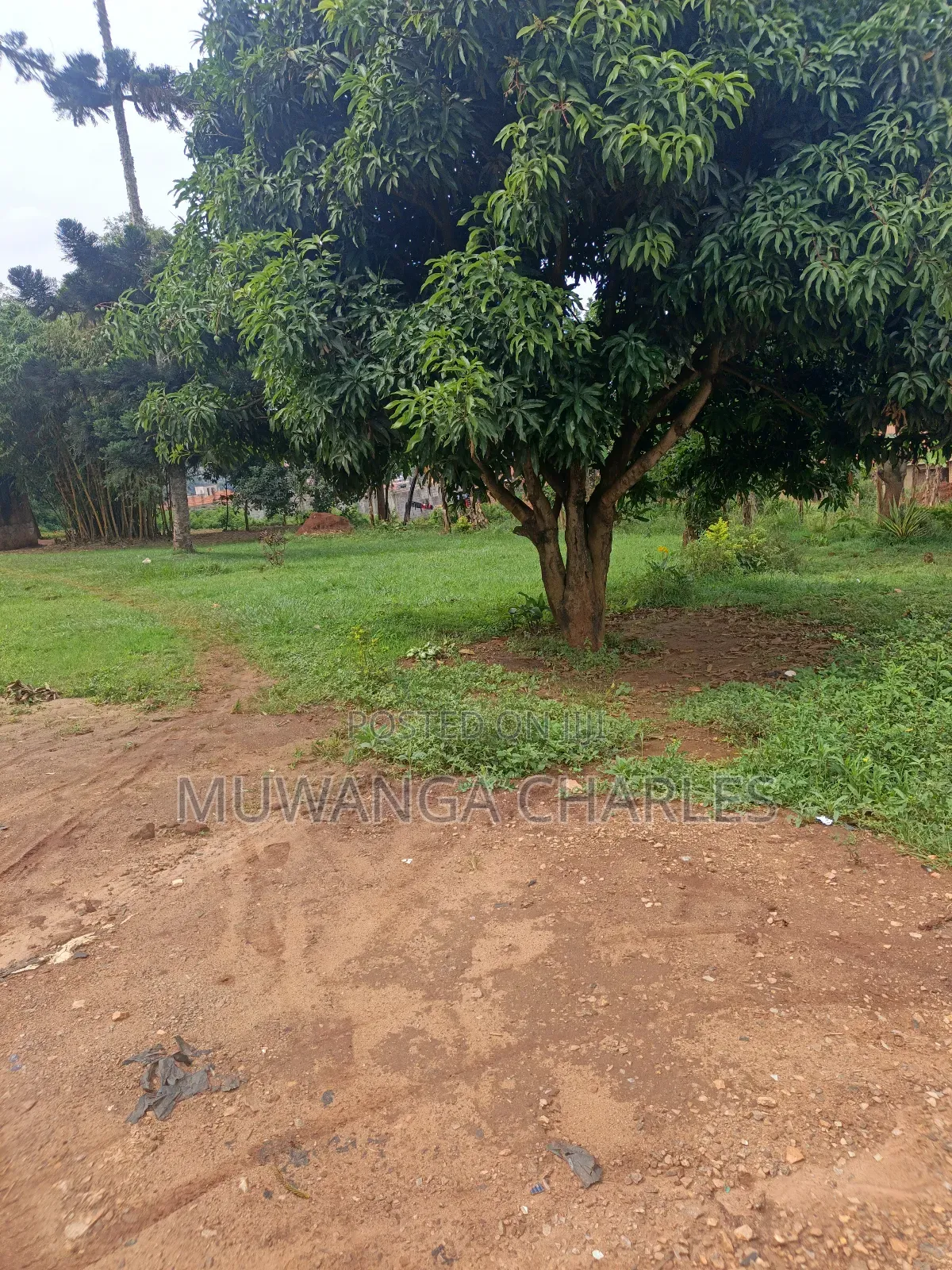 65decimals of Land on Sale in Kisaasi