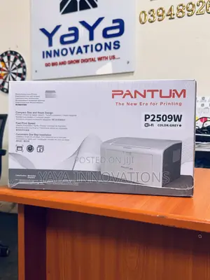 Pantum P2509w 22ppm Mono Printer