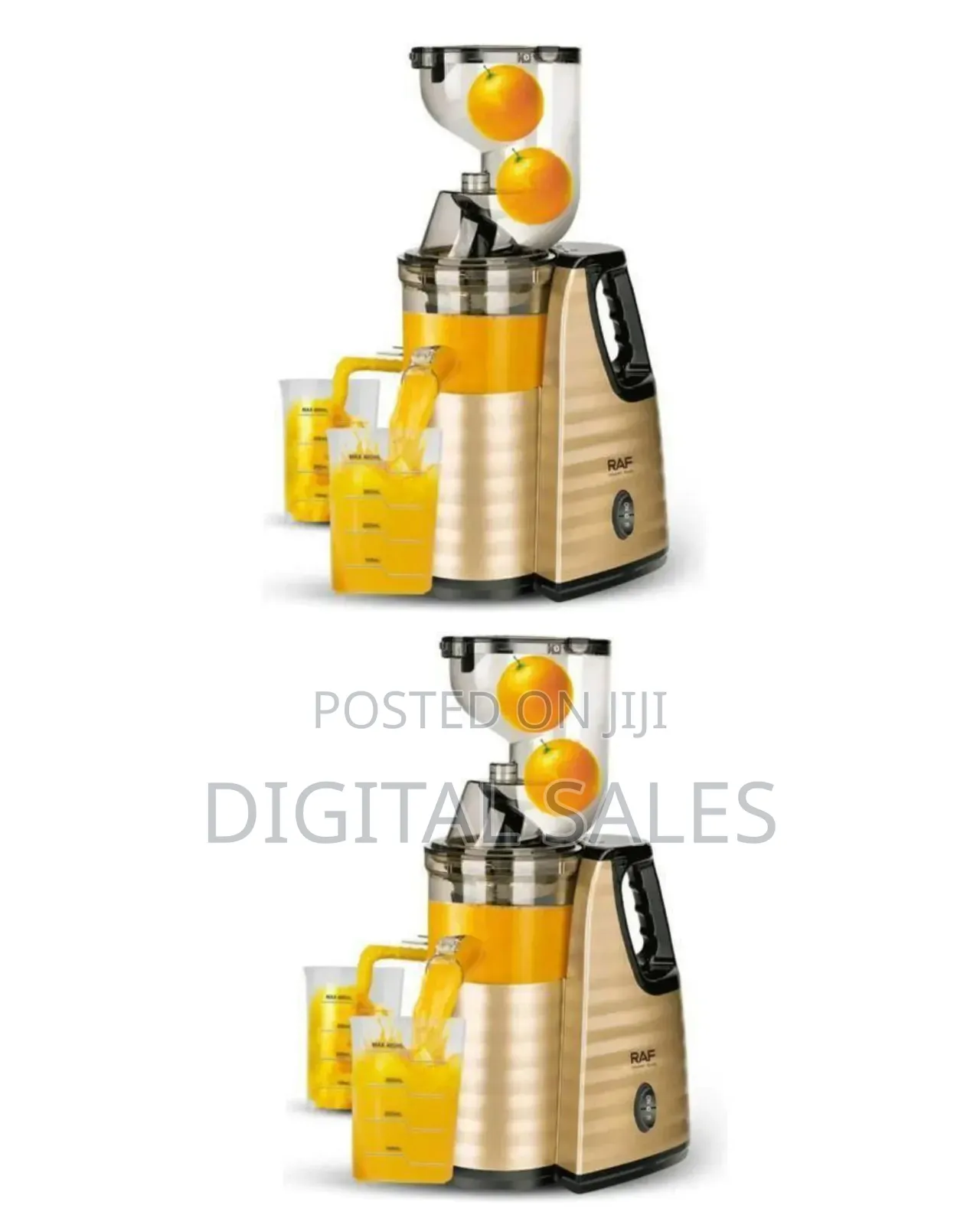 Raf Elegant Slow Juicer