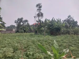 25decimals on Sale in Kyanja Kungu