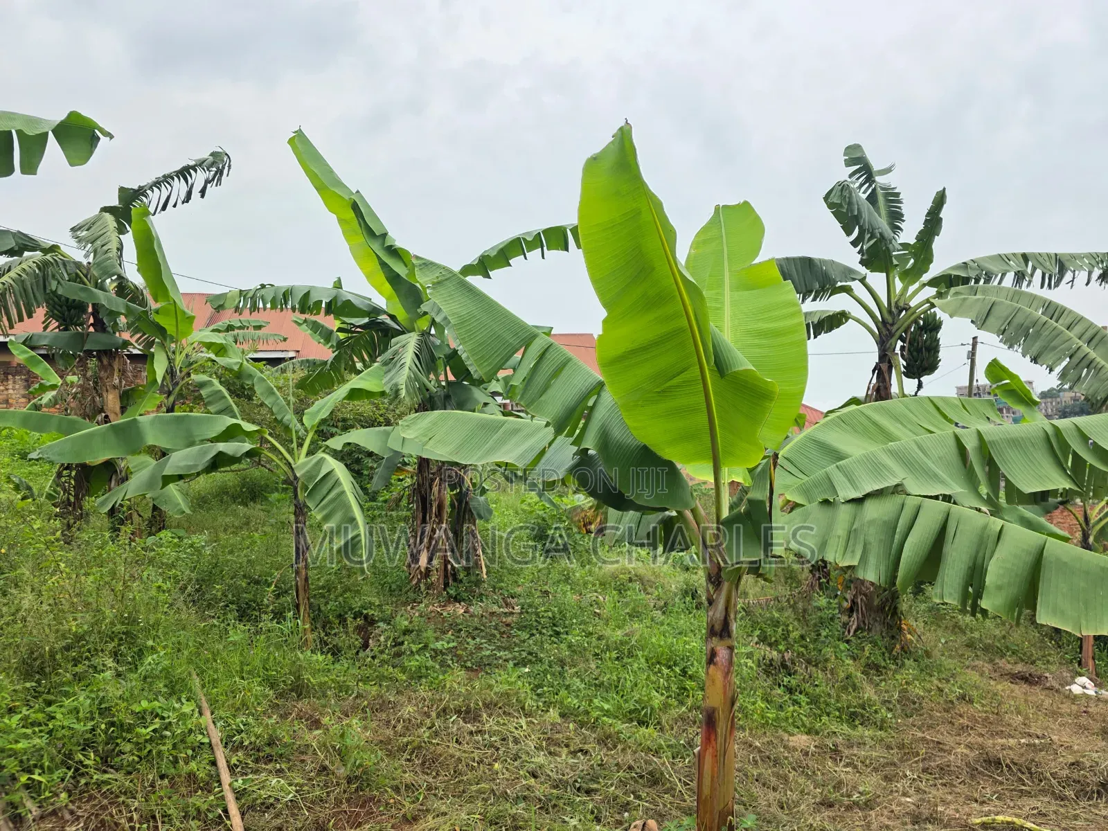 25decimals on Sale in Kyanja Kungu