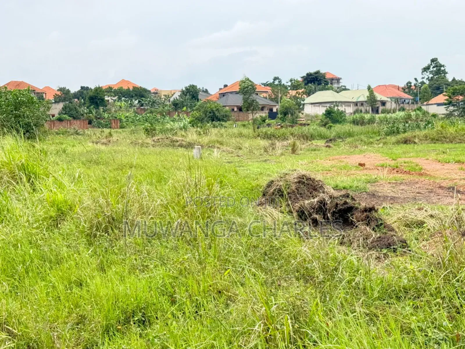 Land on Sale in Kira Nsasa