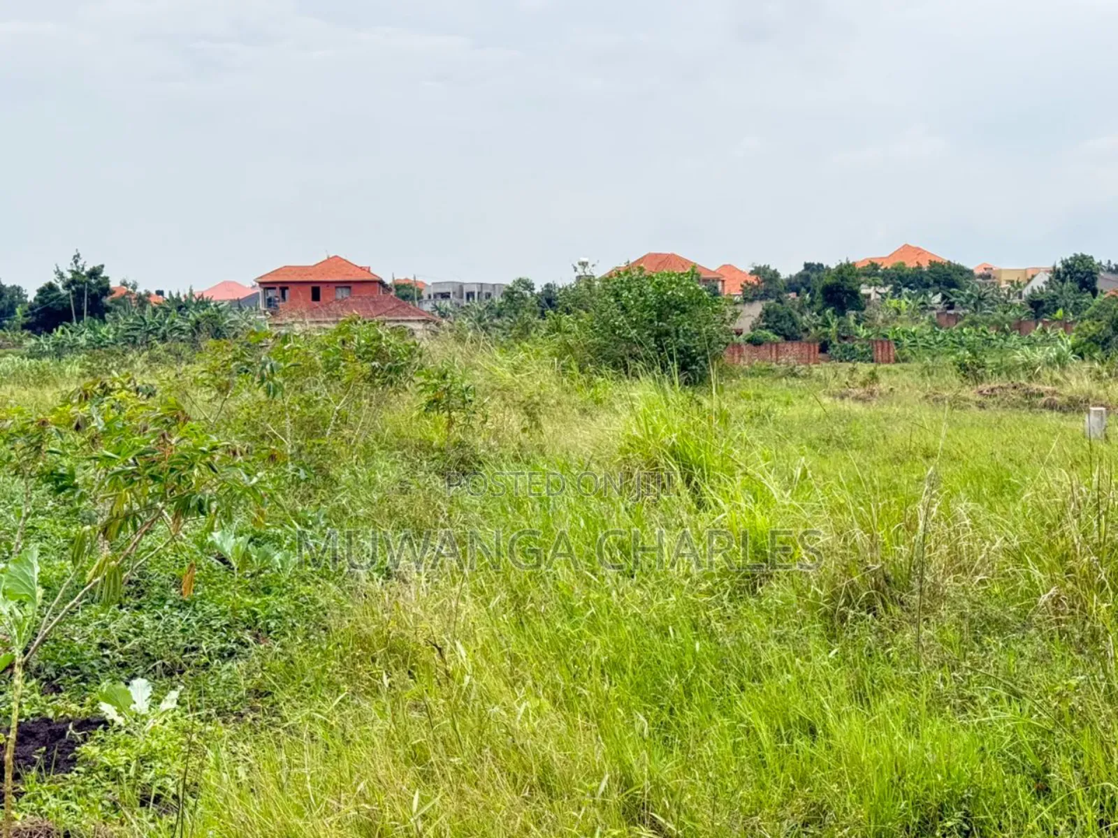 Land on Sale in Kira Nsasa