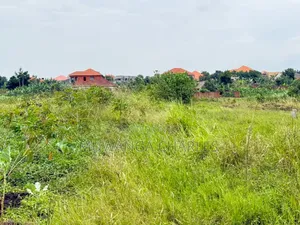 Land on Sale in Kira Nsasa