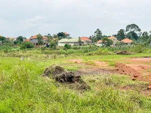 Land on Sale in Kira Nsasa