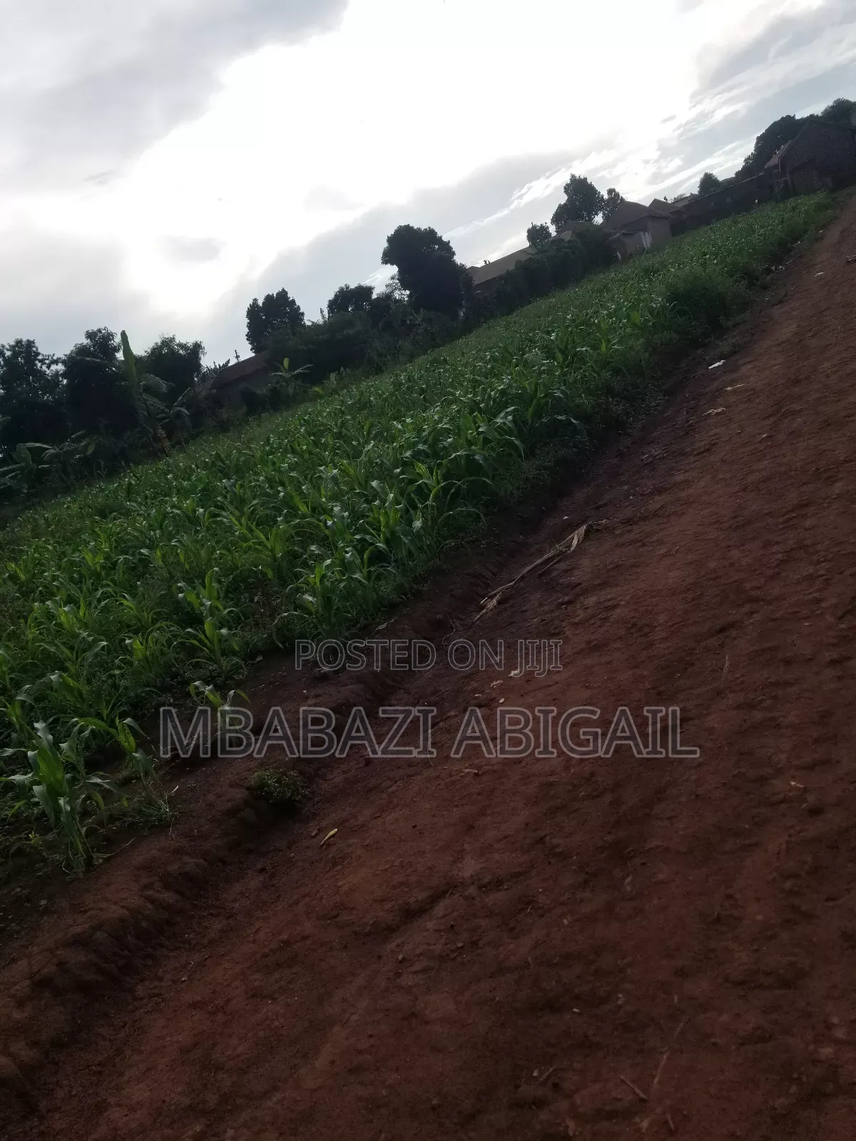 Land and Plots 150×150