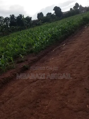 Land and Plots 150×150