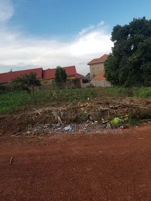 Land and Plots 50×100