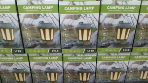 Camping Lamp ~ Ly18