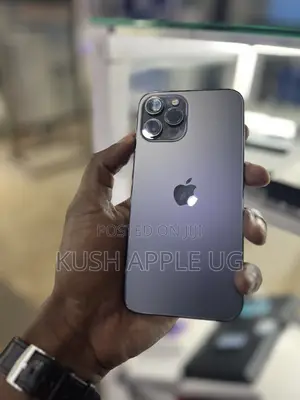 Apple iPhone 12 Pro Max 256 GB Gray