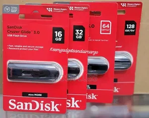 Sandisk 2gb Flash