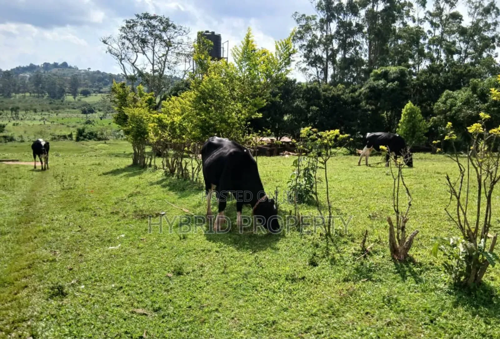 17acres of Land for Sale at Wakiso~Sala Exotic View Along Hoima Road.