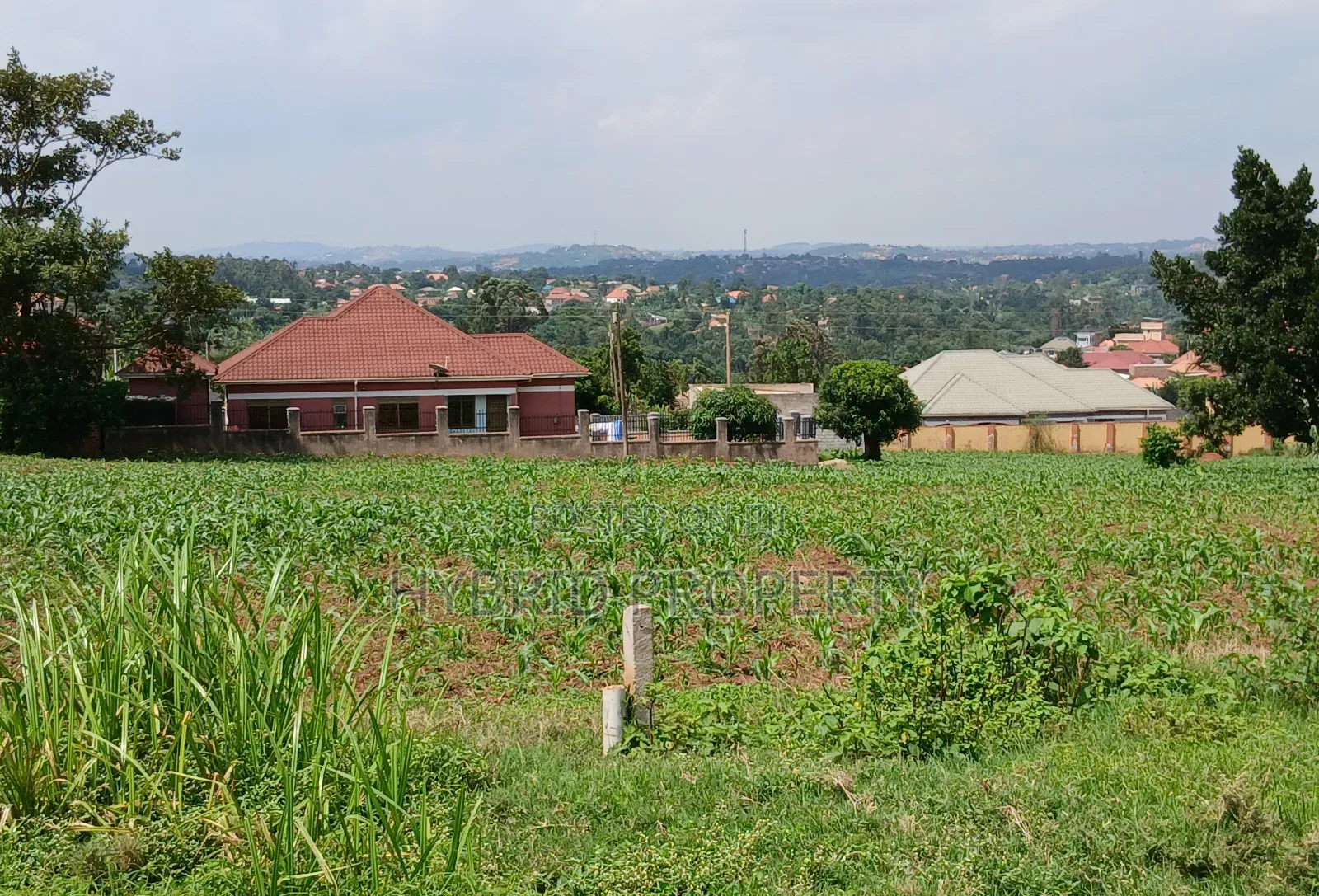 4 Prime Acres of Land for Sale Wakiso~Kisimbiri Along Hoima Road X