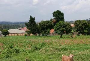 4 Prime Acres of Land for Sale Wakiso~Kisimbiri Along Hoima Road X