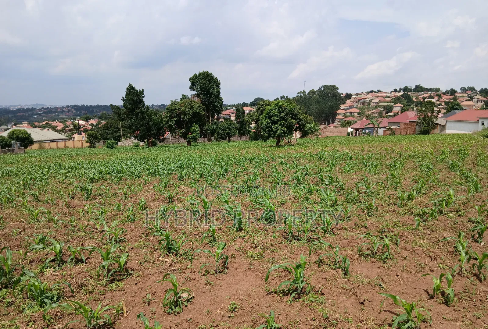 4 Prime Acres of Land for Sale Wakiso~Kisimbiri Along Hoima Road X