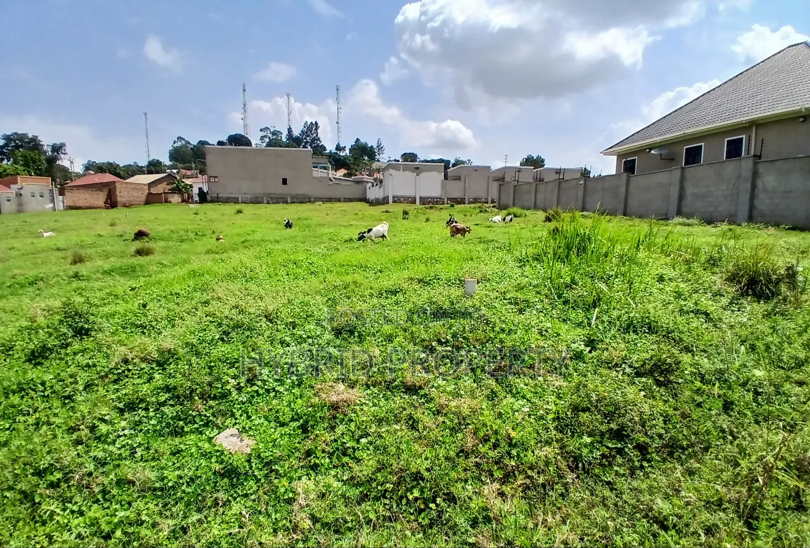 4 Prime Acres of Land for Sale Wakiso~Kisimbiri Along Hoima Road X