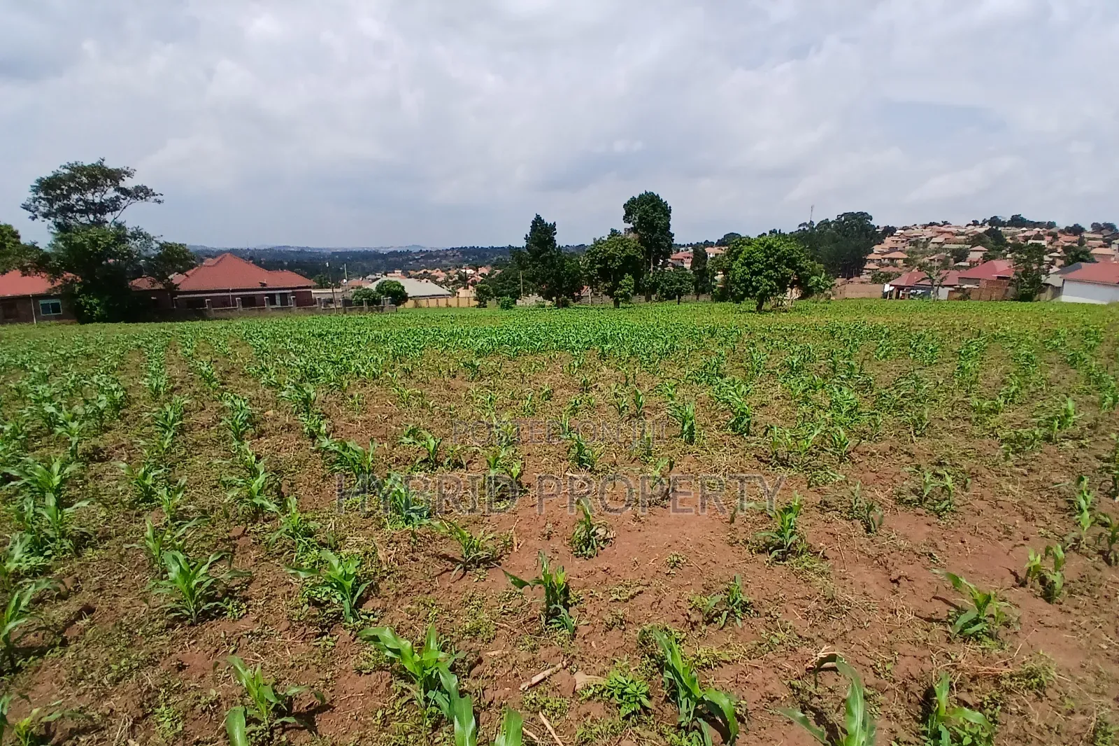 4 Prime Acres of Land for Sale Wakiso~Kisimbiri Along Hoima Road X