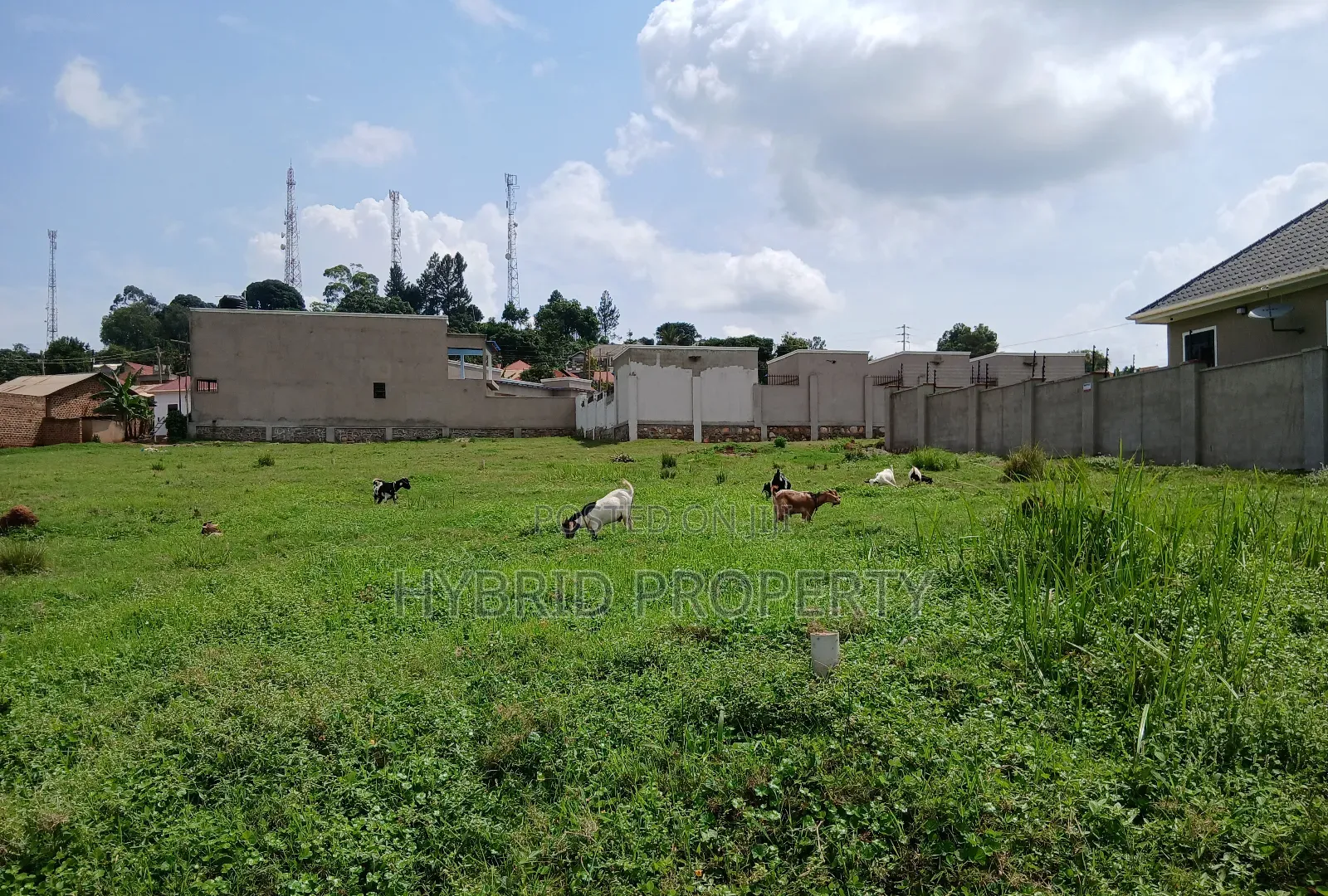 4 Prime Acres of Land for Sale Wakiso~Kisimbiri Along Hoima Road X
