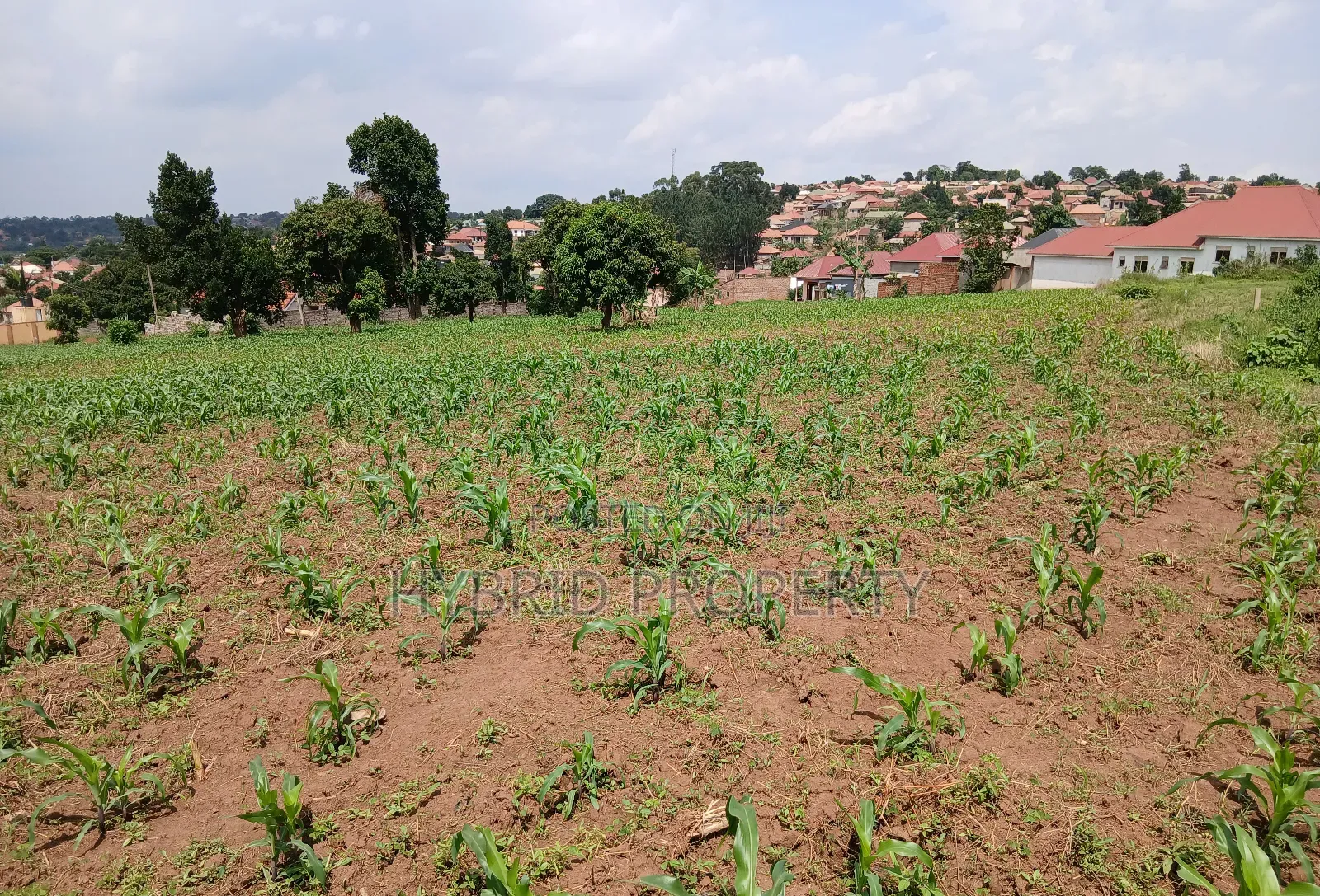 4 Prime Acres of Land for Sale Wakiso~Kisimbiri Along Hoima Road X