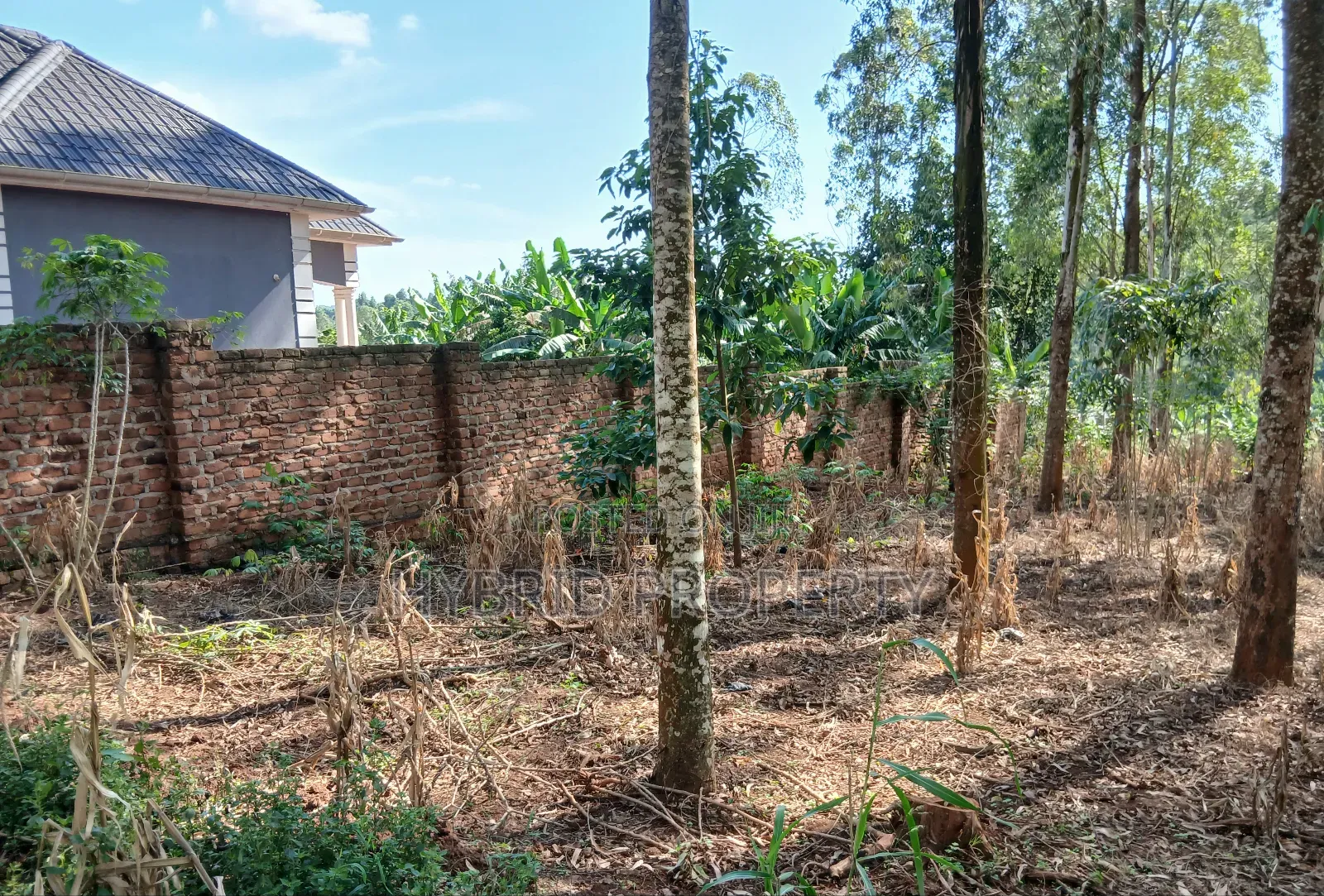 2 Prime Acres of Land for Sale at Wakiso~Bulabakulu Along Hoima Road V