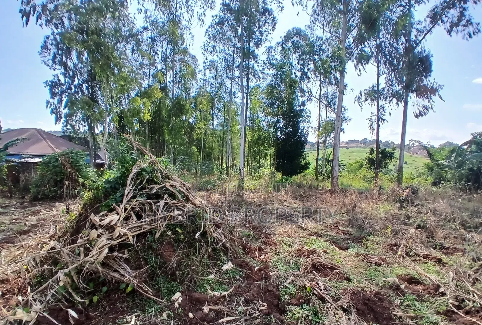 2 Prime Acres of Land for Sale at Wakiso~Bulabakulu Along Hoima Road V