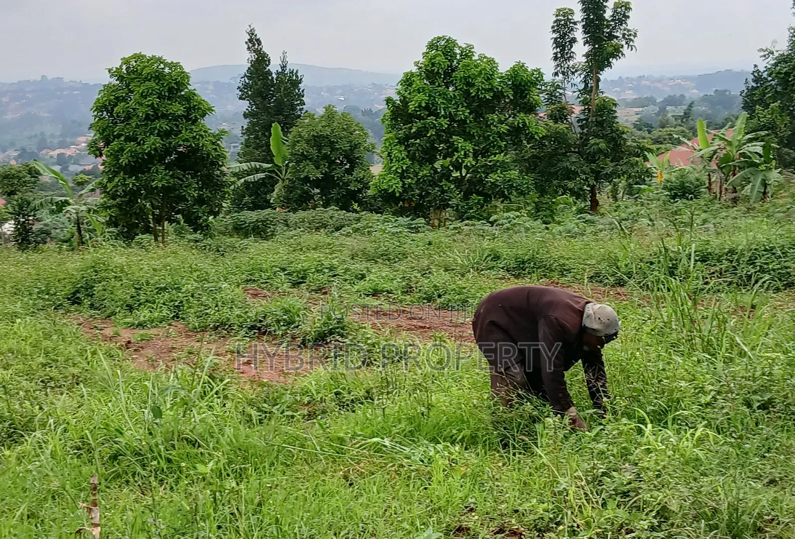 Prime 1acre of Land for Sale at Wakiso~Kona Along Hoima Road V.