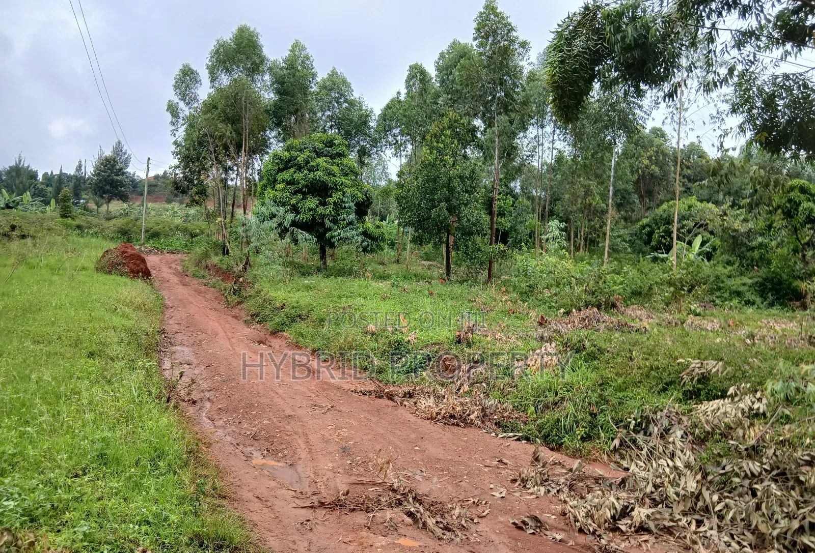 Prime 2acres of Land for Sale at Wakiso~Sala Along Hoima~Kampala Rd B