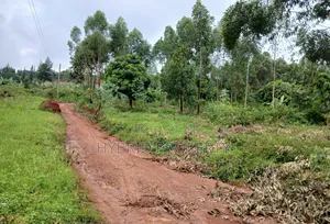 Prime 2acres of Land for Sale at Wakiso~Sala Along Hoima~Kampala Rd B