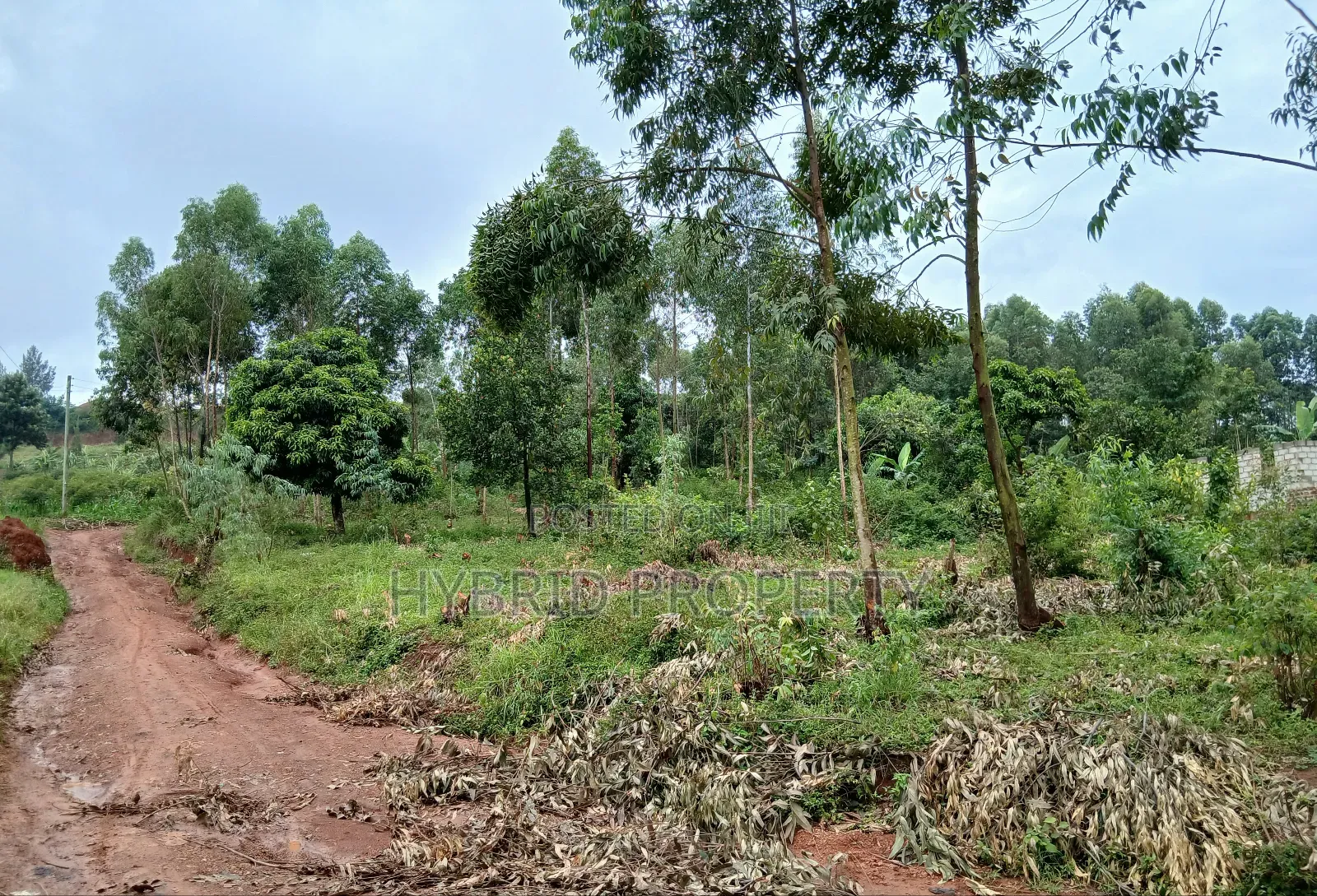 Prime 2acres of Land for Sale at Wakiso~Sala Along Hoima~Kampala Rd B