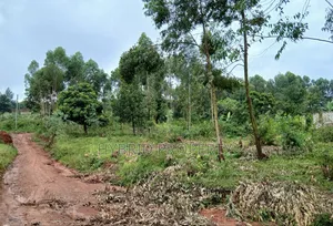 Prime 2acres of Land for Sale at Wakiso~Sala Along Hoima~Kampala Rd B