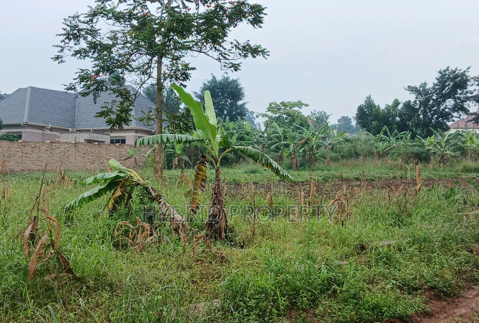 90 Decimals of Prime Land for Sale at Wakiso~Kasengejje Along Hoima Rd