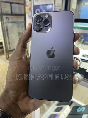 Apple iPhone 12 Pro Max 256 GB Gray