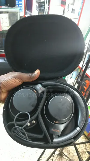 Sony Premium Noise Canceling Wireless Headphones With Built in Mic