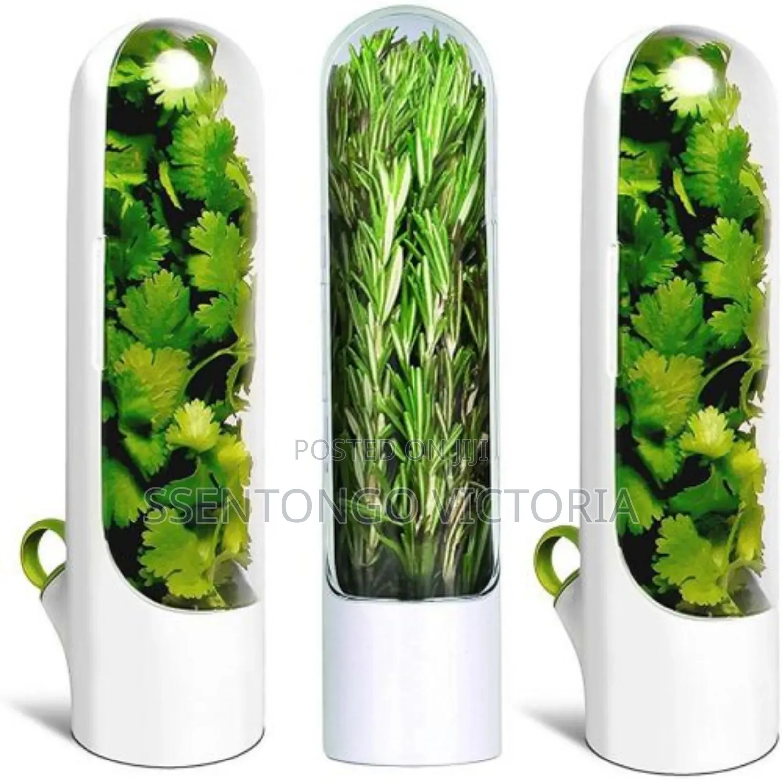 Herbs Saver