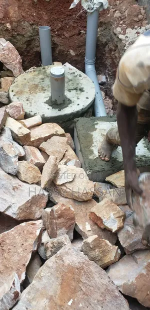 Professional Sanitation Engineering