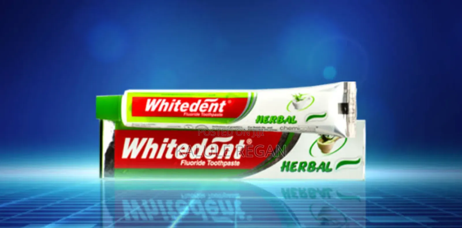 White Dent Tooth Pest