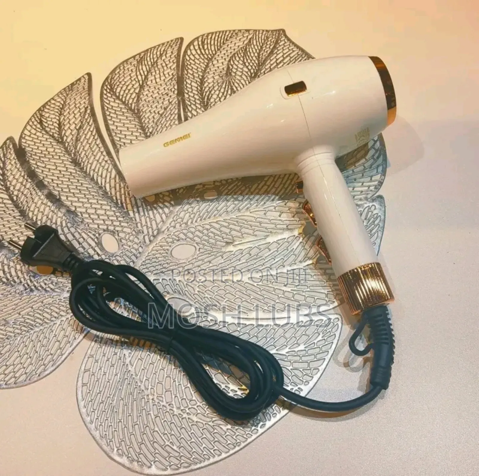 Gemei Hot Wind Professional Hair Dryer