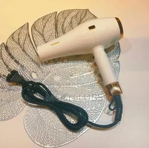 Gemei Hot Wind Professional Hair Dryer