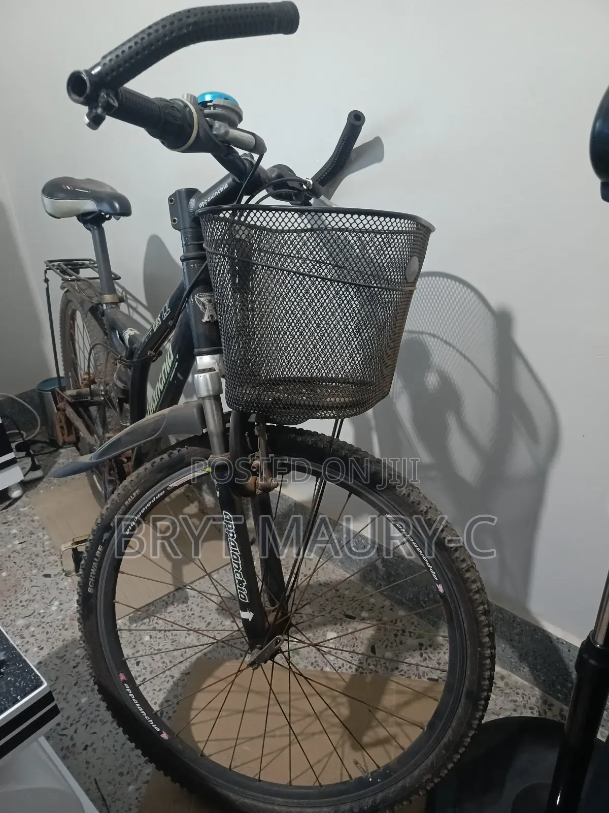 Mountain Bike
