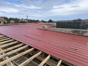 Flat Roof Cleaning of Roof Tiles